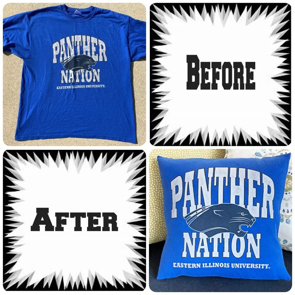 Eastern Illinois University EIU Panthers t shirt 16 x 16 throw pillow cover